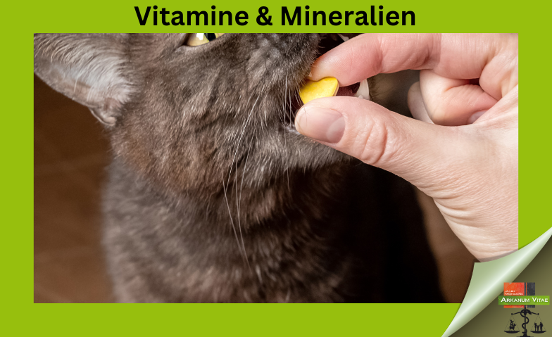 Vitamine und Mineralien für die Katze