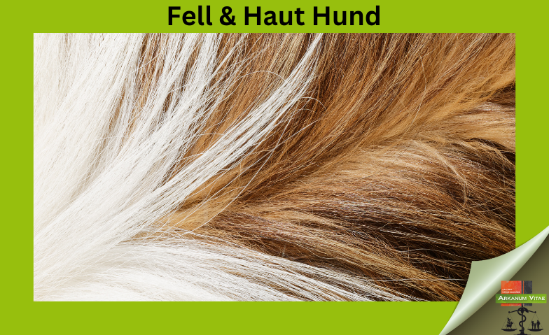 Fell & Haut Hund