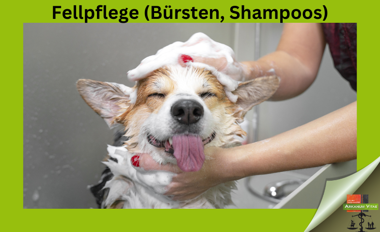 Fellpflege (Bürsten, Shampoos)