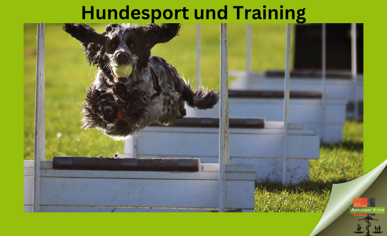 Hundesport und Training