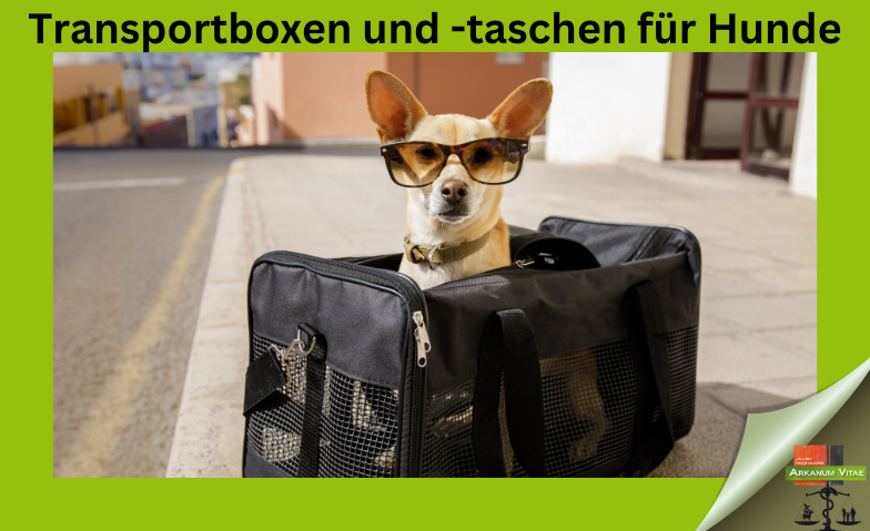 Transportboxen und -taschen für Hunde