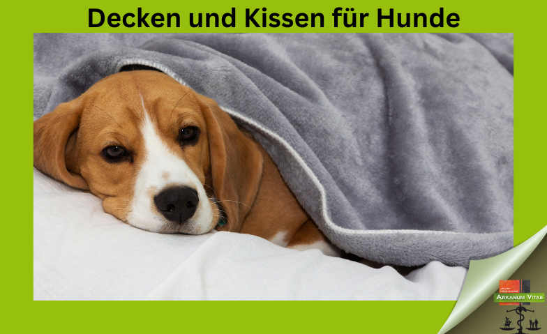 Decken und Kissen für Hunde