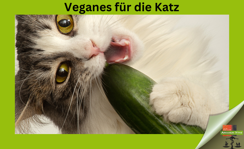 Veganes für die Katz