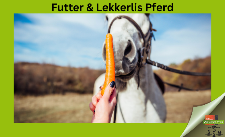 Futter & Lekkerlis Pferd