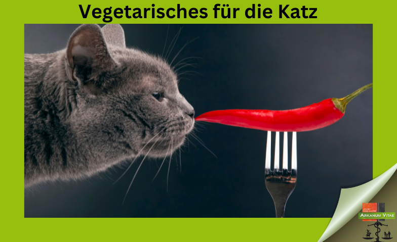 vegetarisches für die Katze