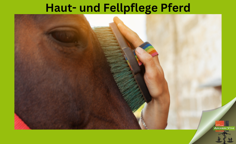 Haut- und Fellpflege Pferd