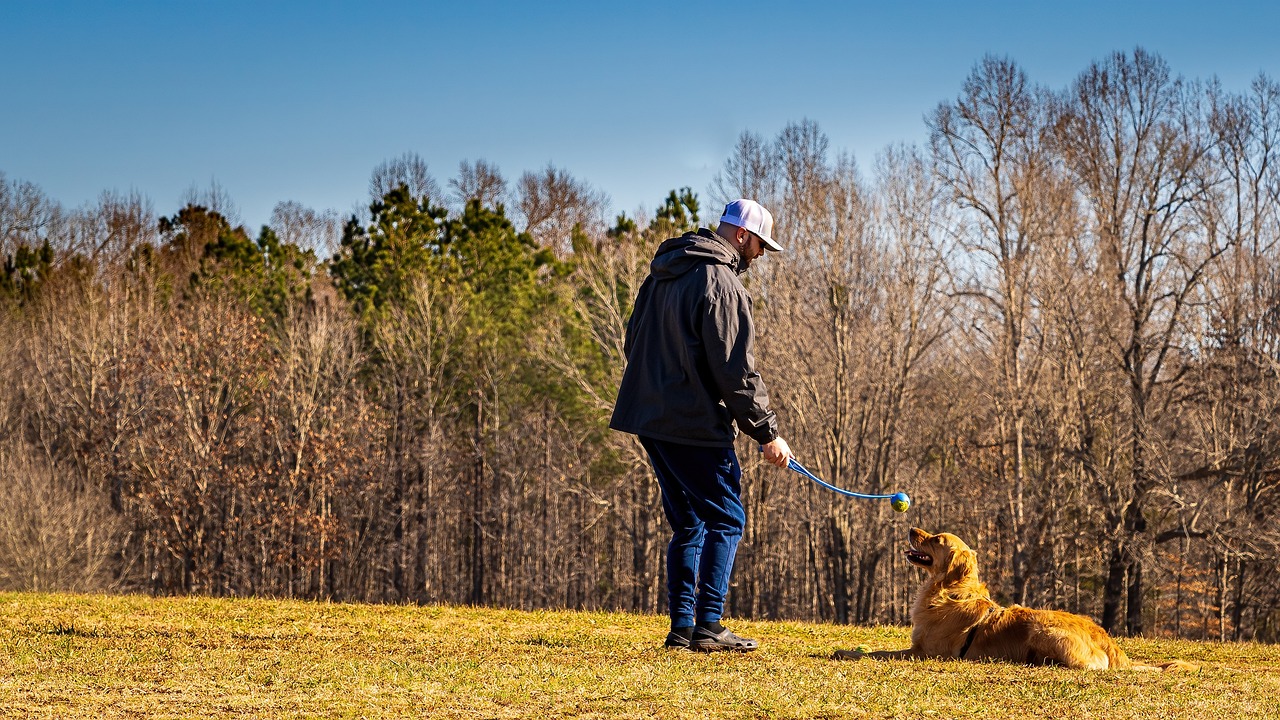 Hundesport und Training