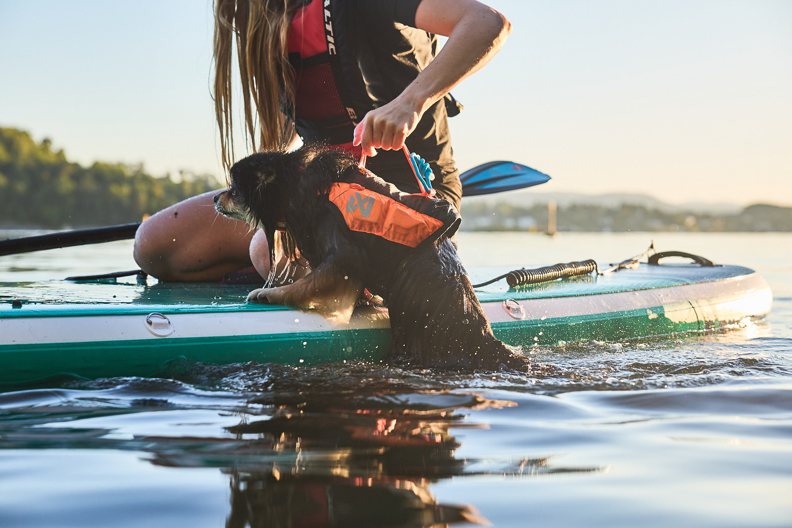 Schwimmwesten für Hunde